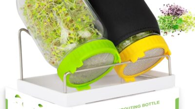 Kitmiido sprouting kit with two mason jars of sprouts on a stainless steel stand and drip tray