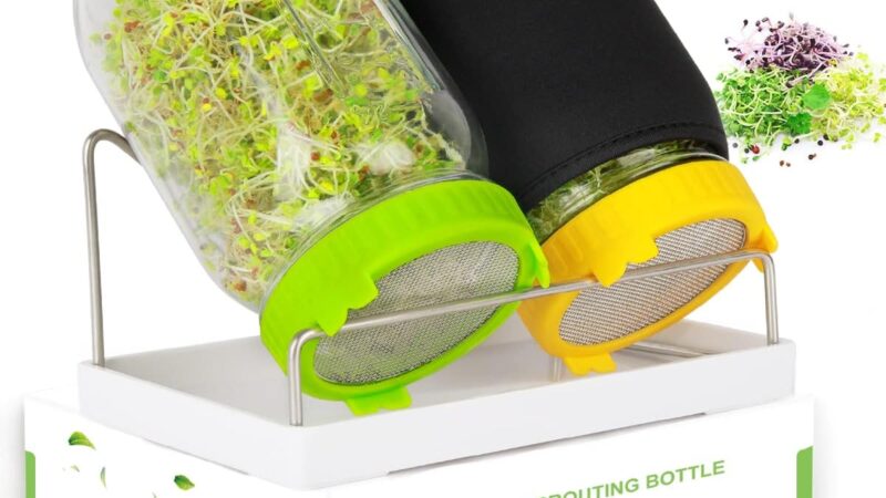 Kitmiido sprouting kit with two mason jars of sprouts on a stainless steel stand and drip tray