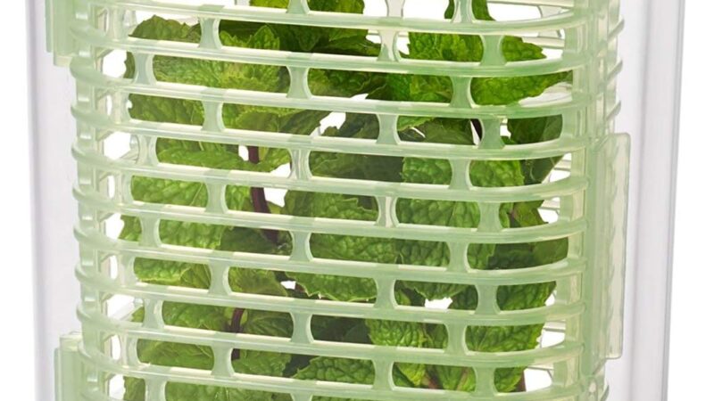 OXO Good Grips GreenSaver Herb Keeper