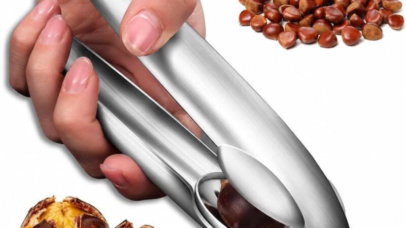 Hoxxu stainless steel chestnut cutter holding a chestnut, with scored roasted chestnuts beside it